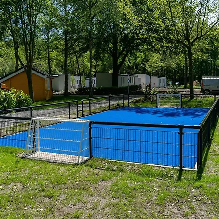 Tent Near Amsterdam *