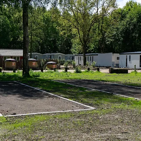 Tent Near Amsterdam